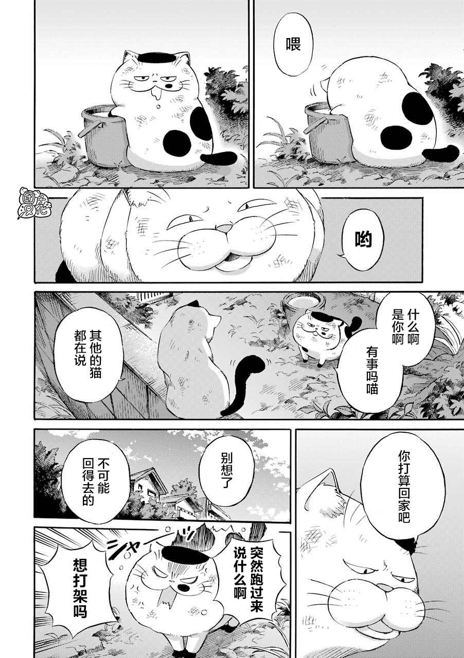 第56.1话-大叔与猫-樱井海（第2张）