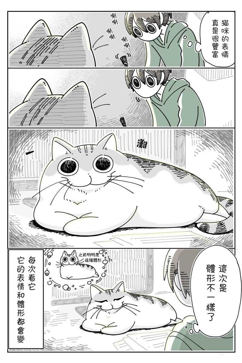 第46话-关于养猫我一直是新手-キュルZ（第3张）