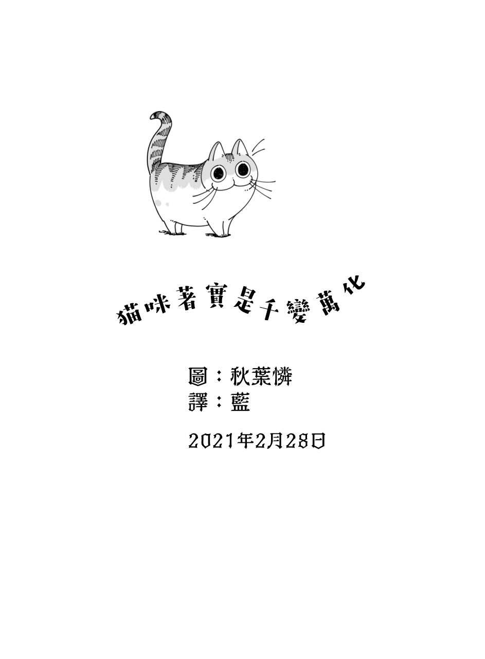 第46话-关于养猫我一直是新手-キュルZ（第4张）